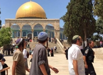 Dozens of Settlers Intrude the Al-Aqsa Mosque Compound