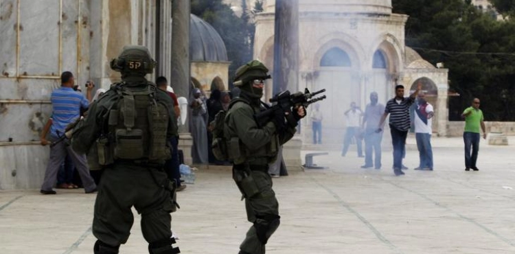 4,073 Violations by the Occupation and Settlers in the First Half of 2023