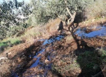 Settlers pumping waste water in Bethlehem