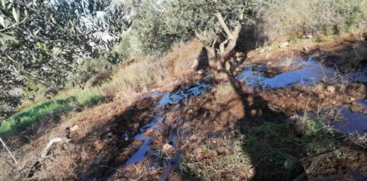 Settlers pumping waste water in Bethlehem
