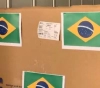 Brazil provides Palestine with 60,000 doses of the triple vaccine