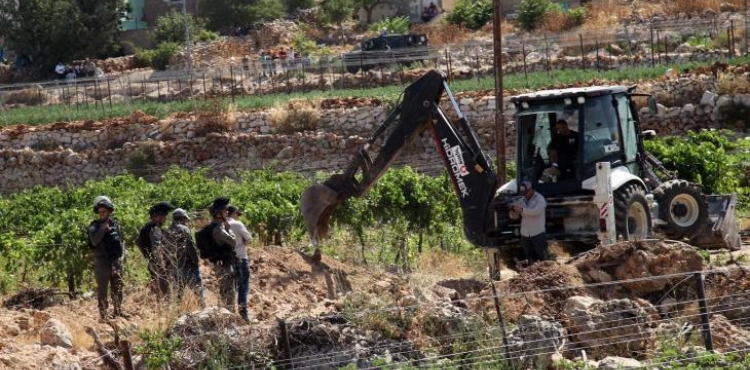 The occupation leveled lands and perennial trees in the town of Tarqumiya, west of Hebron