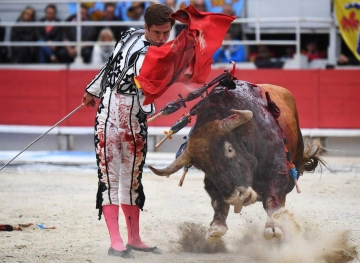 Spanish bullfighter El Joli, 40, announces his retirement