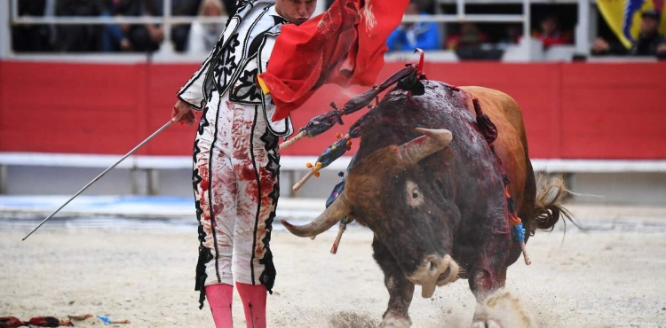 Spanish bullfighter El Joli, 40, announces his retirement