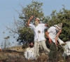 Settlers Attack Civilian Vehicles Near Jenin