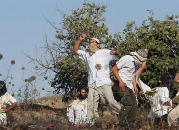 Settlers Attack Civilian Vehicles Near Jenin