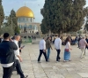 About 49 thousand settlers stormed Al-Aqsa within a year
