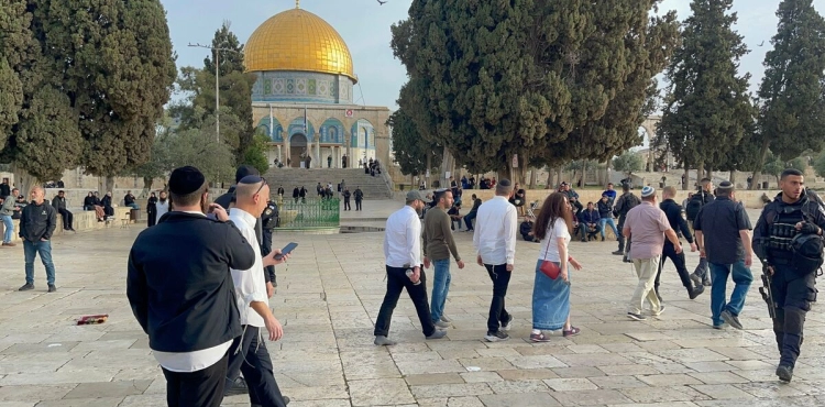 About 49 thousand settlers stormed Al-Aqsa within a year