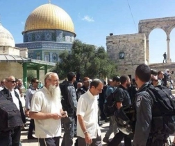 Dozens of settlers storm Al-Aqsa