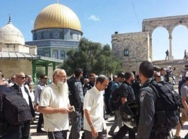 Dozens of settlers storm Al-Aqsa