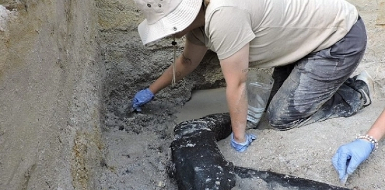 Discovery of a wooden structure dating back half a million years in Africa