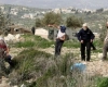 Settlers destroy dozens of trees south of Nablus
