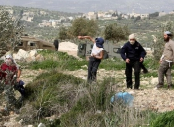Settlers destroy dozens of trees south of Nablus