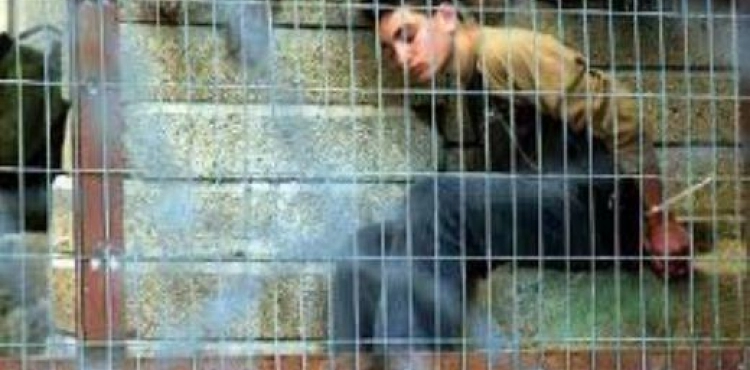 The occupation has arrested about 60 wounded since the beginning of this year