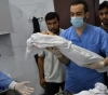 The occupation kills 100 children every day in Gaza!