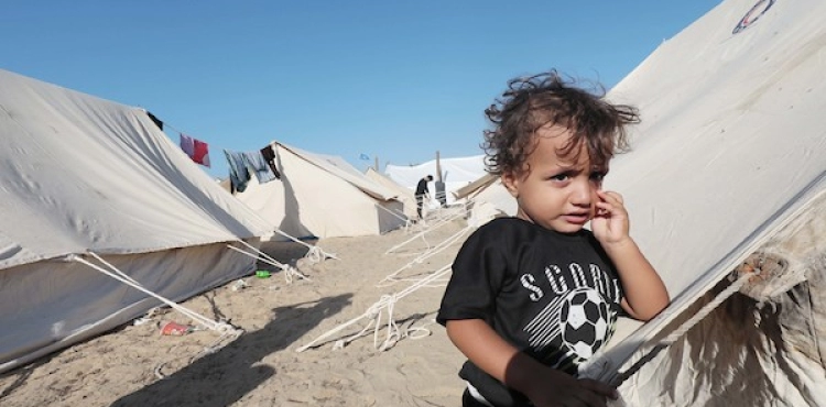 In pictures: UNRWA sets up a camp to shelter displaced people in the south of the Gaza Strip