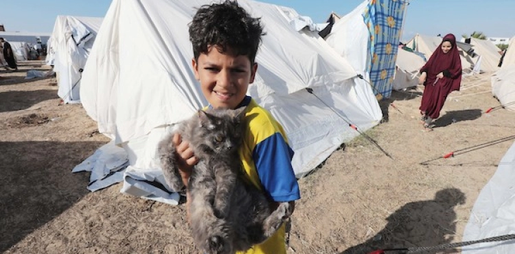 In pictures: UNRWA sets up a camp to shelter displaced people in the south of the Gaza Strip