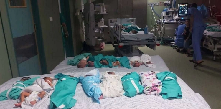 Medical source: The occupation army gives doctors and patients to evacuate Al-Shifa Hospital in Gaza within an hour