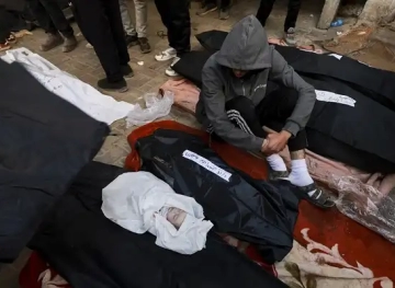For the 193rd day... martyrs and wounded in the ongoing Israeli war on the Gaza Strip