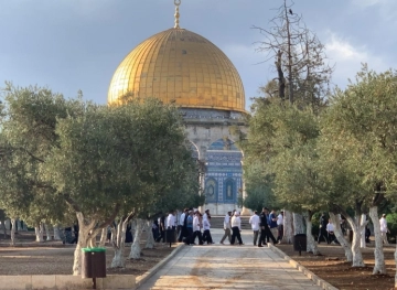 Settlers storm Al-Aqsa, with the Israeli police escort
