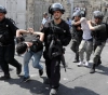 The occupation arrested 12 citizens of Jerusalem