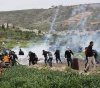 Dozens of people suffocated and 4 were wounded by bullets in clashes in Mughayir, northeast of Ramallah
