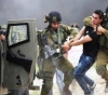 &quot;The prisoner&acute;s body&quot; calls for an end to violations of the occupation against journalists