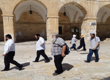 83 settlers storming the Al-Aqsa mosque