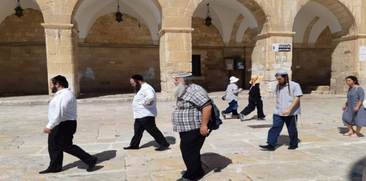 83 settlers storming the Al-Aqsa mosque