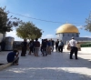 89 Israelis storming Al-Aqsa mosque