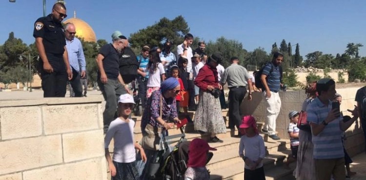 Palestinian martyr and 118 arrests in Jerusalem during August past