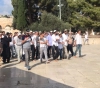142 Settlers Storm Al-Aqsa mosque