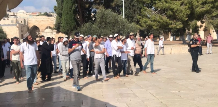 142 Settlers Storm Al-Aqsa mosque