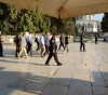 56 Israeli settlers and soldiers storm Al-Aqsa mosque