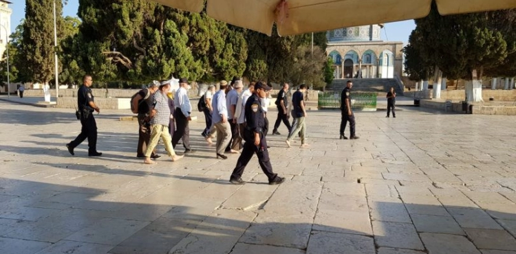 56 Israeli settlers and soldiers storm Al-Aqsa mosque
