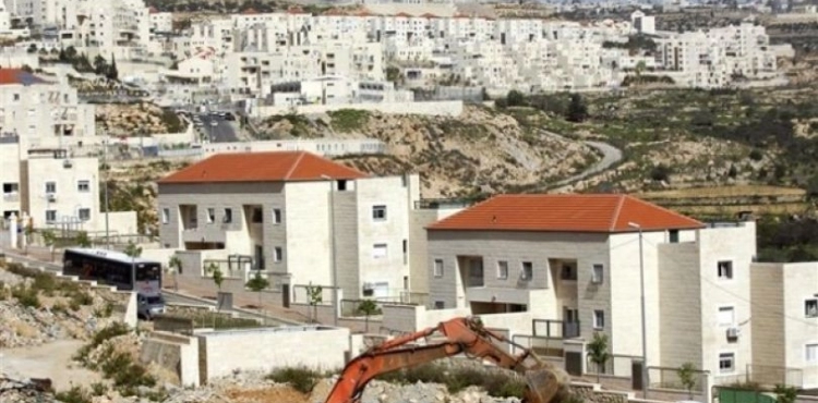 Report: Settlement has quadrupled since the signing of the Oslo agreement