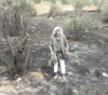 Settlers burn 200 olive trees south of Bethlehem