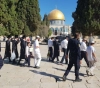 420 settlers Storm Al-Aqsa mosque