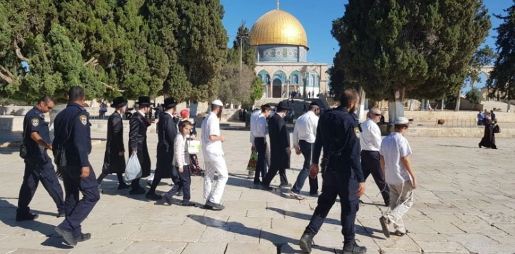 420 settlers Storm Al-Aqsa mosque