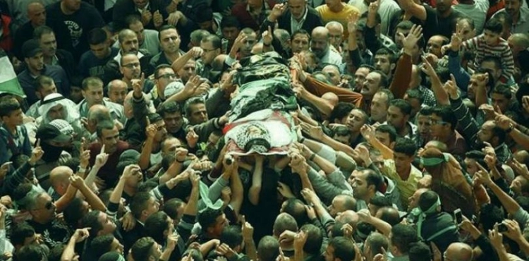 Data: Israel has killed 282 Palestinians since the TARP announcement