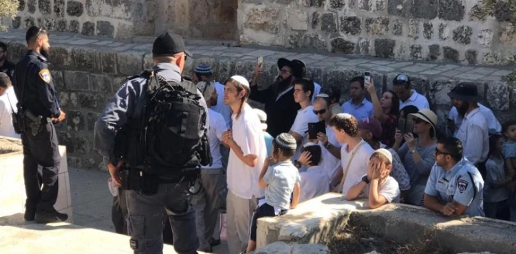 101 Settlers Storm Al-aqsa Mosque