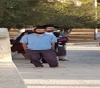 59 settlers Storm Al-Aqsa mosque