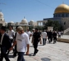 35 settlers Storm Al-Aqsa mosque