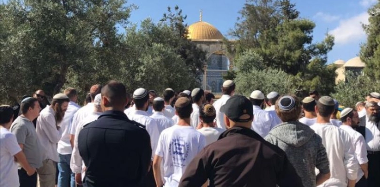 Occupied Jerusalem. 186  &quot;Israelis &quot; break into the courtyards of al-Aqsa mosque