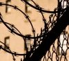 Data: 337 thousand arrests among Palestinians since 1987