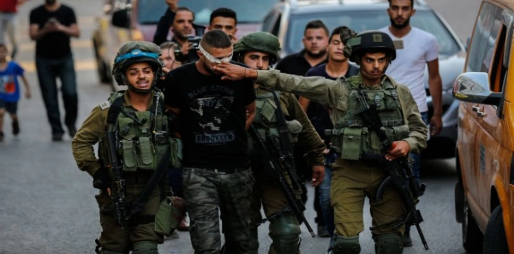 The occupation arrested 486 Palestinians last November
