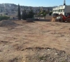 The occupation pulls out and steals 60 olive trees north of Jerusalem