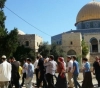 53 Settlers Storm Al-Aqsa mosque