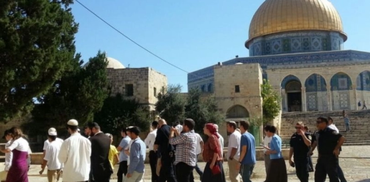 53 Settlers Storm Al-Aqsa mosque