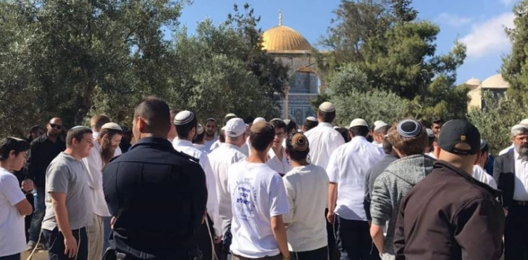 35 settlers Storm Al-Aqsa mosque